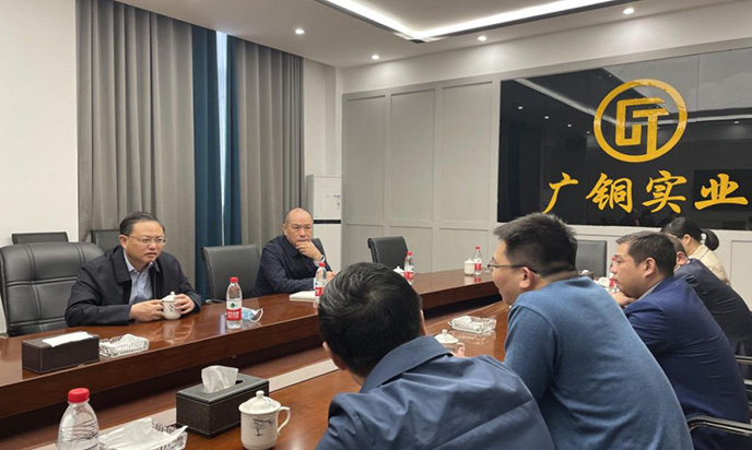 贵溪市委书记毛建华一行莅临广铜实业调研指导